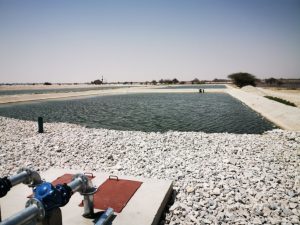 Foto_Steinfilter Blick von der Collection chamber_Mediathek